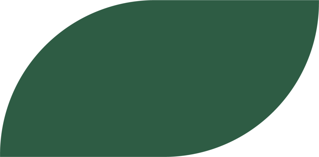 feuille verte